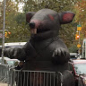 Meet your Posher, John